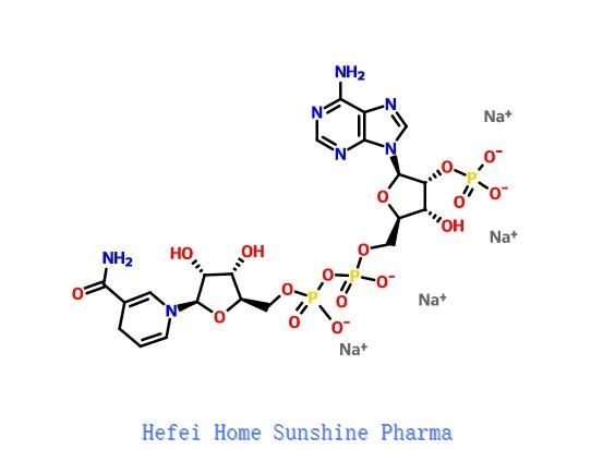 Beta-NADPH Tetrasodio Sale NADPH CAS 2646-71-1